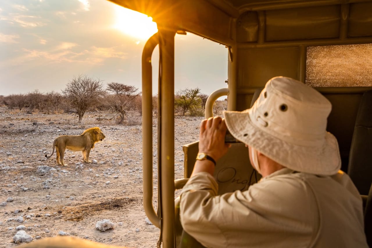 Etosha Self-Drive Safari